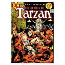 Tarzan (1972 series) #222 in Fine condition. DC comics [i; picture