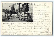 1905 Exterior View How We Live Chautauqua Ohio Vintage Antique Posted Postcard picture