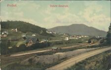 ROMANIA Predeal general view 1906 PC picture