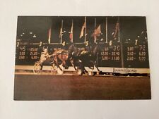 Roosevelt Raceway Westbury  New York Postcard P8 picture