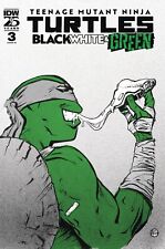 TMNT Black White & Green #3 1:10 Paul Pope Variant picture