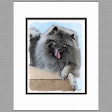 Keeshond Rainy Original Art Print 8x10 Matted to 11x14 picture