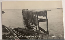 Vintage Postcard Seagulls On Fish Nets In Florida Real Photo Ephemera picture