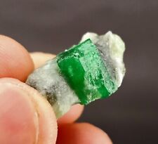  Emerald Crystal Specimen Well Terminated 100% Perfect 20-CT @Swat Mine,Pakistan picture