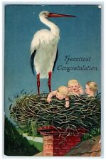 1914 Heartiest Congratulation Stork Babies Chimney Embossed Antique Postcard picture