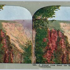 c1900s Yellowstone's Grand Canyon Volcanic Lava Made Litho Photo Stereo Card V7 picture