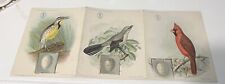 1901 Pan American Exposition Brochure Of Bird By Singer Sewing MFG Co Trade Card picture