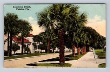 Palatka FL-Florida, Scenic View Residential District, Antique Vintage Postcard picture