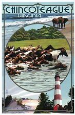 Chincoteague Virginia, Assateague Island, Pony Swim, Horse, VA - Modern Postcard picture