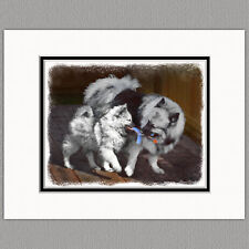 Keeshond Playtime Original Art Print 8x10 Matted to 11x14 picture
