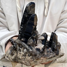 2.98LB Natural Tea black Crystal quartz Cluster Mineral Specimen Healing reiki picture