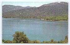 Whiskeytown Lake Shasta County California CA Sailboats Vintage Postcard C31 picture