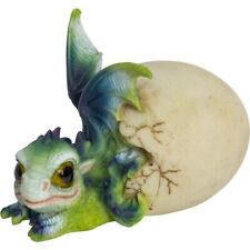 Hatching Baby Dragon Figurine 4 Inches picture