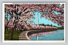 Washington DC, Cherry Blossoms, Riverside Drive, Potomac Park, Vintage Postcard picture
