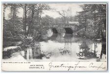 c1905s Arch Bridge Trees Scene Cranford New Jersey NJ Unposted Vintage Postcard picture