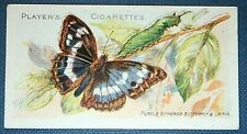PURPLE EMPEROR   Butterfly & Lava   Vintage 1904 Card  KB08 picture