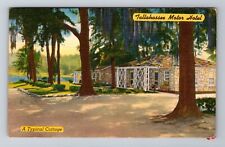 Tallahassee FL-Florida, Tallahassee Motor Hotel, Advertising, Vintage Postcard picture