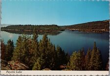 Payette Lake McCall Idaho Highway 55 Gem State Souvenir Vintage Postcard UNP picture