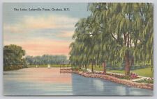 The Lake Lakeville Farm Goshen New York Vintage Linen Postcard picture