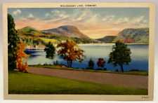 Willoughby Lake, Fall Foliage, Vermont VT Vintage Postcard picture