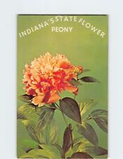 Postcard Peony Indianas State Flower Indiana USA picture