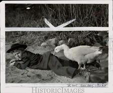 1956 Press Photo Richard Eyer attacked by a goose in 