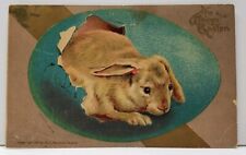 1907 Easter Rabbit in Blue Egg by Robbins Bros Postcard G1 picture