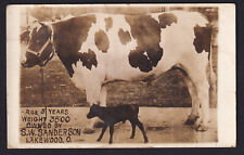Ohio-OH-Lakewood-S.W. Sanderson-Livestock-Cow-Calf-Farm-Antique Real Photo RPPC picture