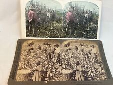 Stereoscope Cards - Black Americana - Working in fields - 1895 picture
