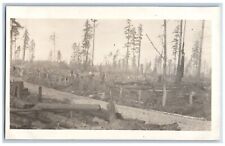 c1910's Postcard RPPC Photo Logging Pacific Northwest Field Scene Antique picture