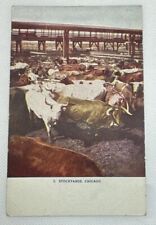 Chicago IL Illinois Union Stock Yard Cattle Antique Vintage Souvenir Postcard picture