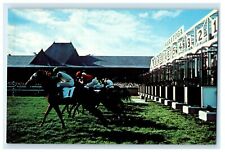 c1950's Saratoga Race Tracks Horse Turf Course Saratoga Springs NY Postcard picture