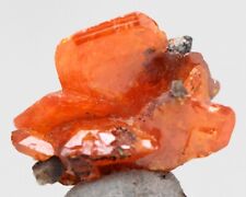 RARE WULFENITE Tabular Crystal Cluster Mineral Specimen RED CLOUD MINE ARIZONA picture