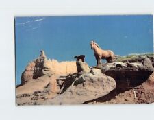 Postcard Wild Palomino Stallion picture