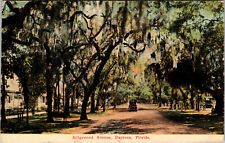 Postcard Ridgewood Avenue Daytona Florida Divided Back Card 1912 picture