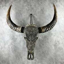 Buffalo Skull Real Bone Gray Carving with Natural Horns, Wall Decor picture