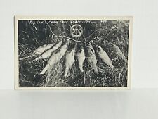 Polaroid RPPC The Limit from Lake Vermilion Fish Walleyes c1952 A61 picture