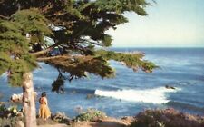 Carmel, CA, Rugged Coastline, Monterey Peninsula, Chrome Vintage Postcard e3628 picture