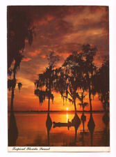 Florida Sunset FL Postcard Fishing Cypress Trees picture