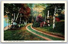 A Drive Bay View Michigan MI Home Road Along Flower Garden Nature View Postcard picture