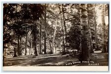 c1910's Hotel Sagamore Pines Birch Tree View Lake George NY RPPC Photo Postcard picture