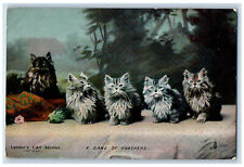 Postcard Landor's CAT Studies Five Cat Poachers c1910 Photochrome Tuck Cats picture