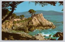 Midway Point Overlooking Crescent Shaped Carmel Bay California Postcard 3180 picture