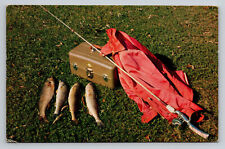 Ortonville Minnesota Stone Lake Fishing Tackle Walleyed Pike C1958 MN Postcard picture