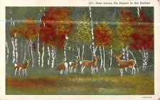 Deer among the Aspens in the Rockies-Jan 18,1945-Arizona to Butler,Pa  WWII picture