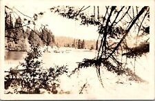 RPPC View Overlooking Lake, Lake Arrowhead CA? Vintage Postcard O77 picture