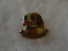 Switzerland St. Bernardus Dog search and rescue pin picture