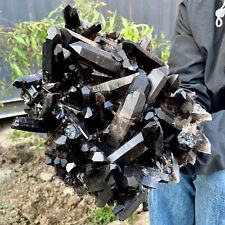 12LB Large natural smoky black quartz cluster crystal raw specimen healing picture