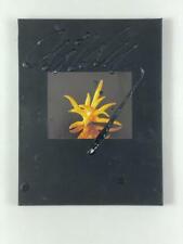DALE CHIHULY SIGNED AUTOGRAPH W/ PAINT ON BOOK COVER 