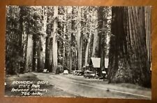 c1930’s Richardson's Grove, Redwood Highway, Calif. Antique Real Photo Post Card picture